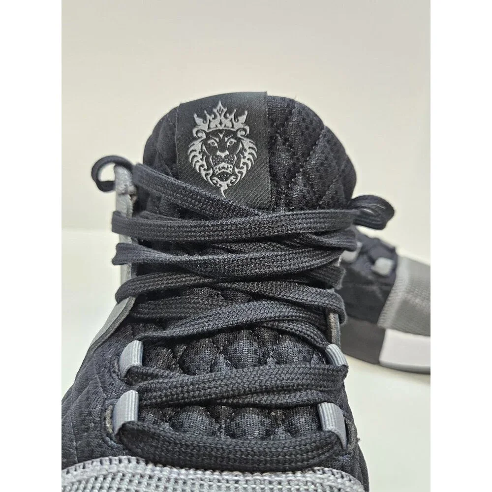 Nike lebron witness